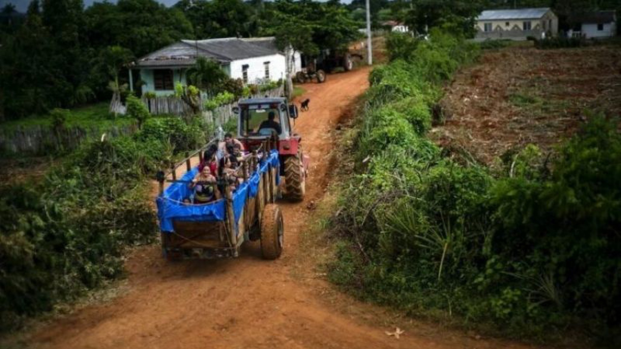 Video: improvisaron una pileta en el trailer de un tractor
