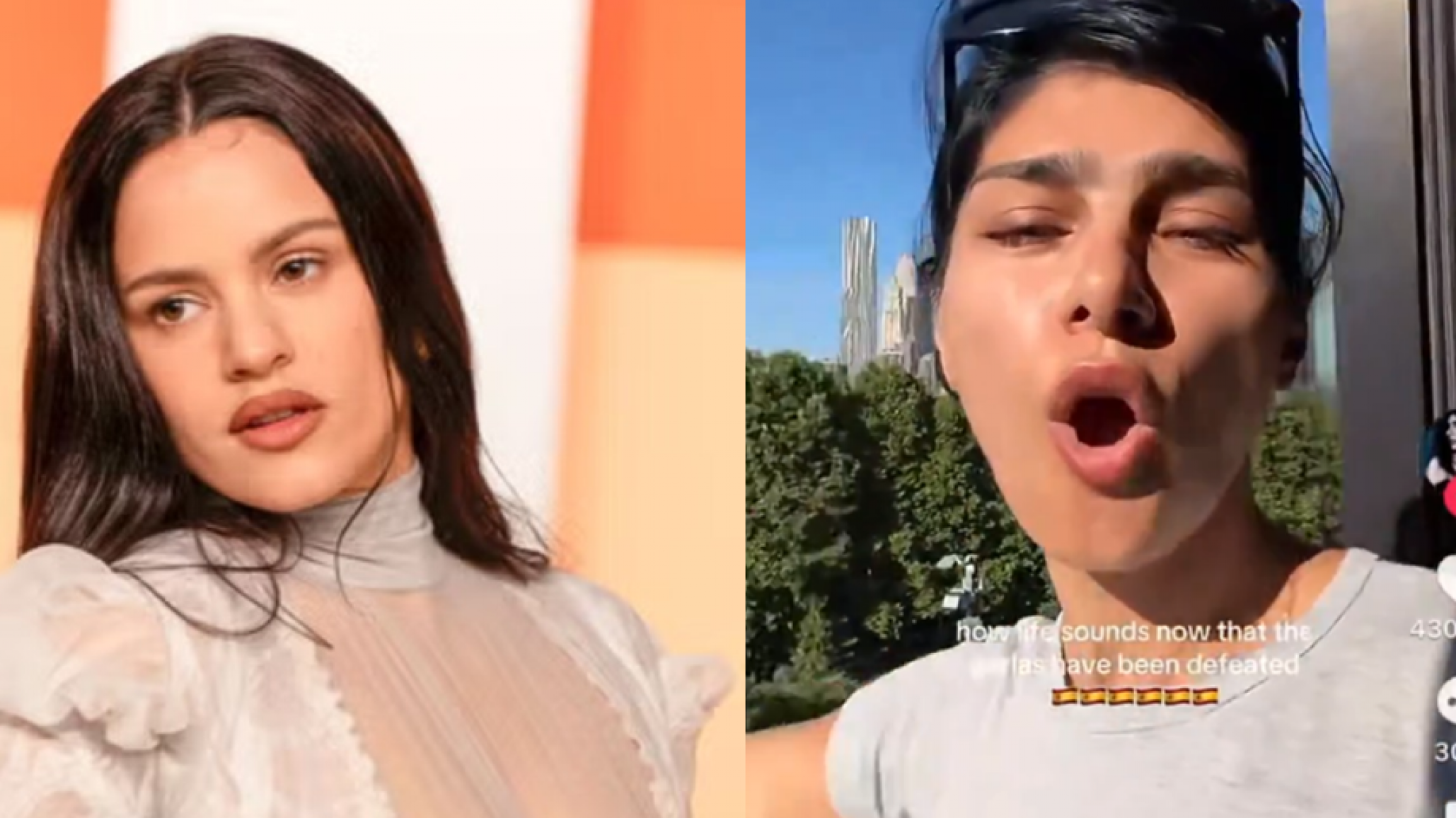 "No vengas": la dura reacción de los fans argentinos tras un insólito gesto de Rosalía en TikTok