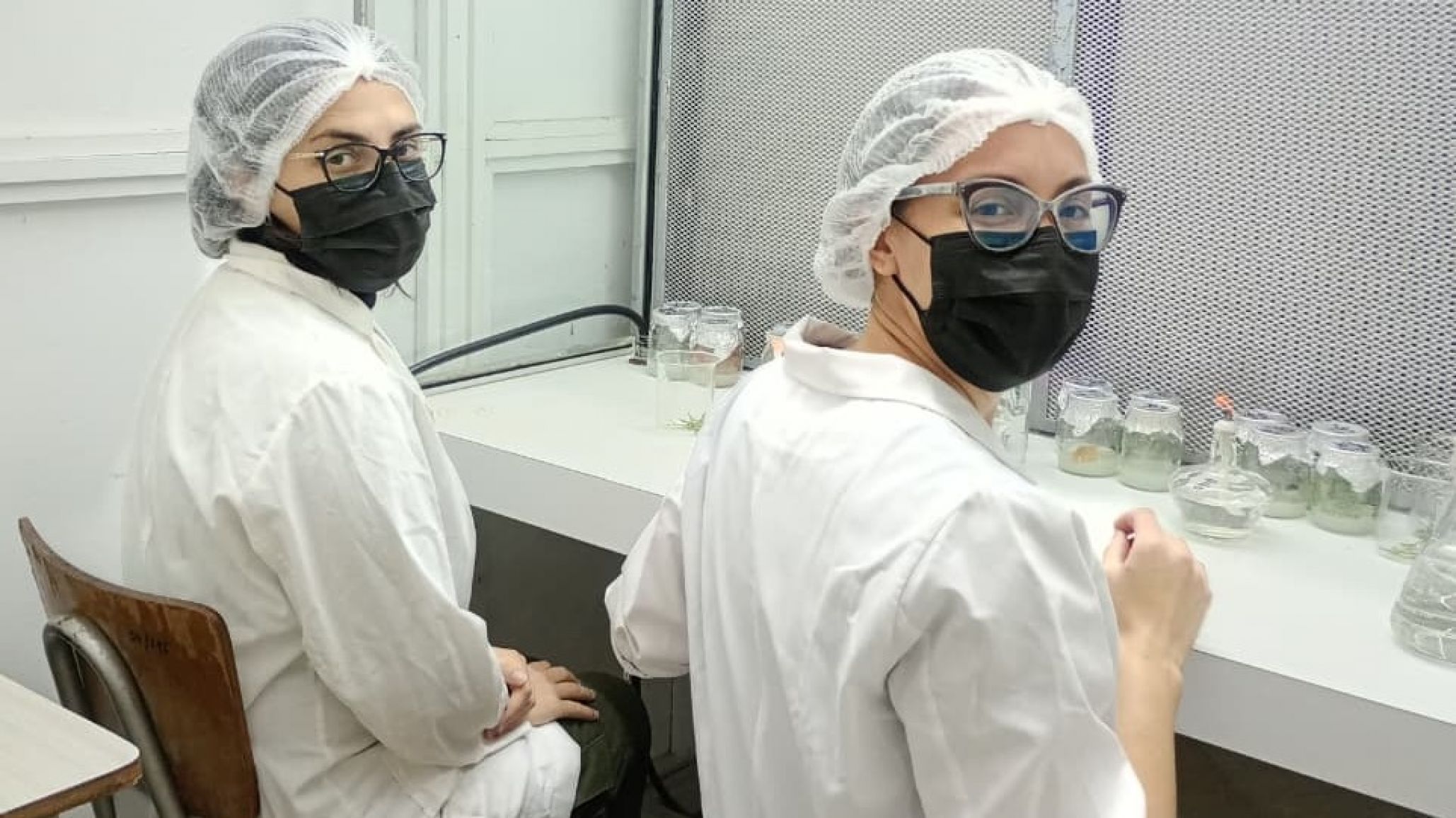 Becaria chubutense se capacita en cultivo in vitro y fortalece investigaciones sobre coníferas nativas de la Patagonia