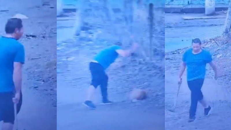 Neuquén: agredió brutalmente a un perro con un atizador y terminó detenido