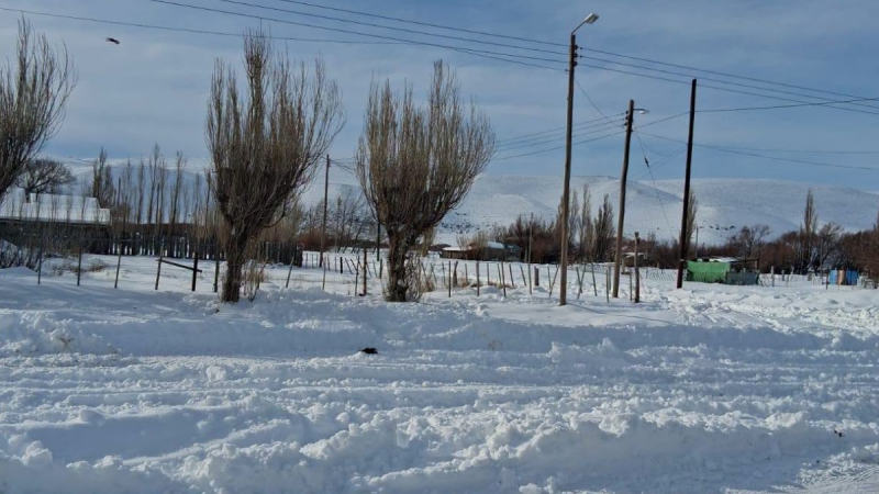 Las intensas nevadas dejaron 40 centímetros de nieve en Ricardo Rojas y complican los accesos rurales