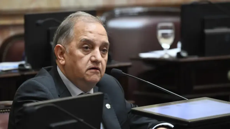 Linares advirtió que con la Ley de Tierras "quieren vender el país" y espera que las otras senadoras de Chubut voten en contra