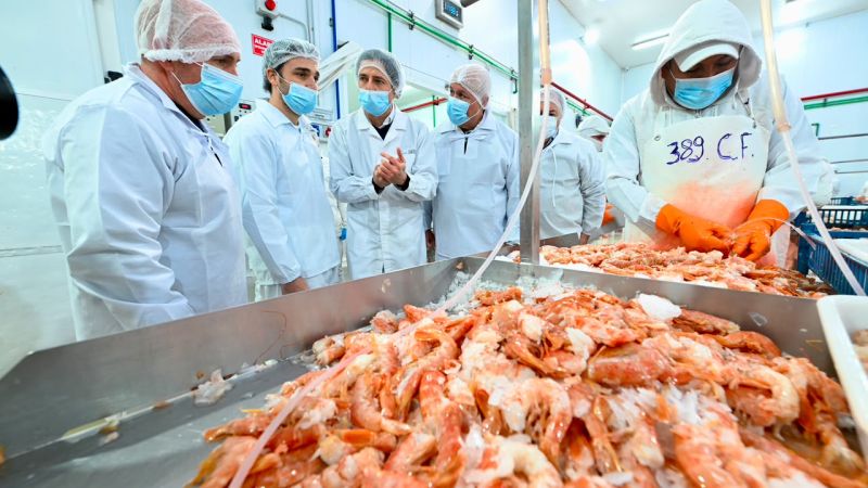Chubut busca expandir sus exportaciones pesqueras a Centroamérica de la mano de Panamá