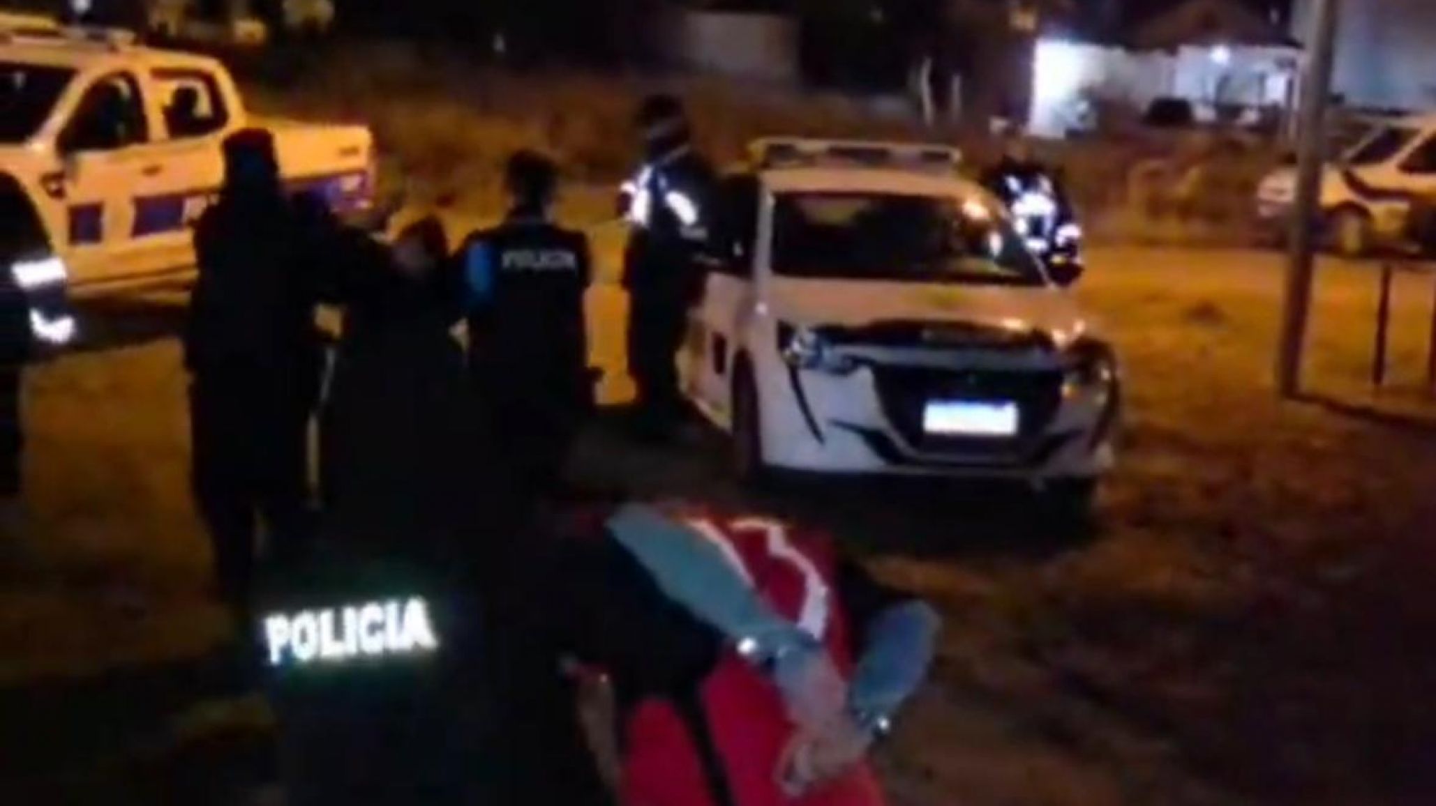 Tres detenidos por intentar robar ovejas: un dron térmico fue clave para atraparlos