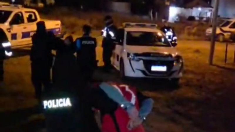Tres detenidos por intentar robar ovejas: un dron térmico fue clave para atraparlos