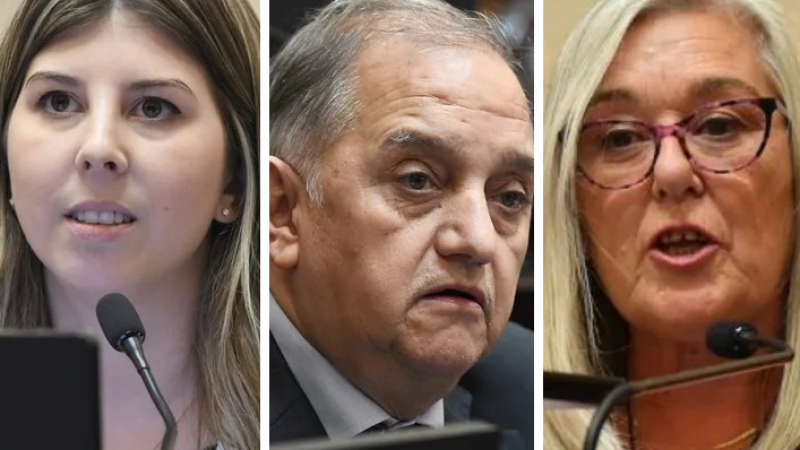 Linares en contra, Andrea Cristina y Terenzi a favor: los votos de los chubutenses en la debatida sesión del Senado