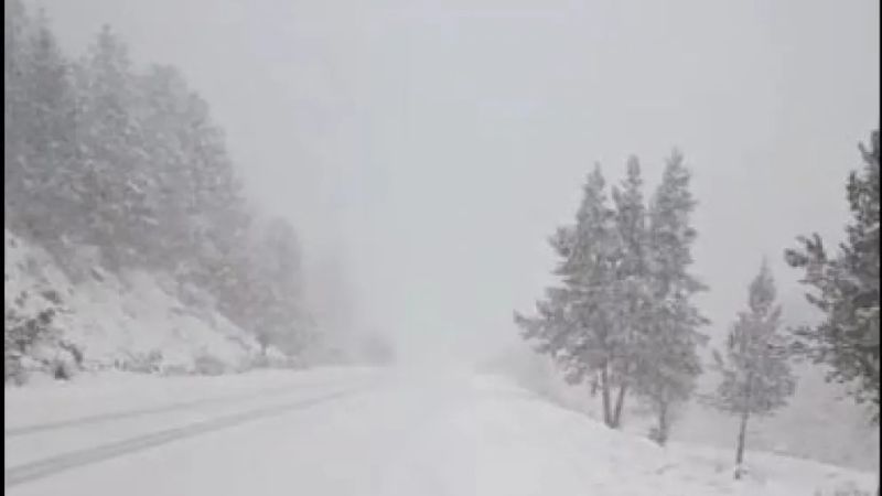 Cerraron totalmente la Ruta 40 entre Bariloche y El Bolsón por nieve, hielo y viento blanco