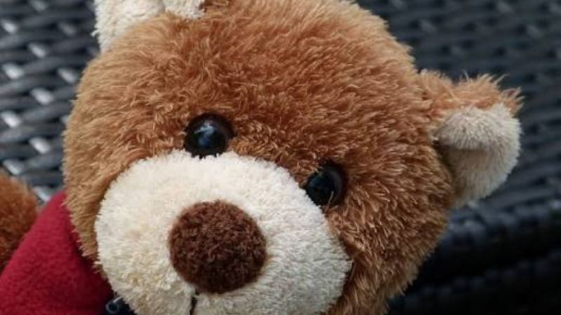 El Jardín N° 428 impulsa una colecta de osos de peluche por el Día de las Infancias