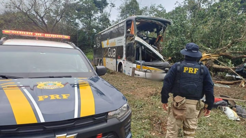 Tragedia en Brasil: volcó un micro con turistas y al menos diez personas murieron