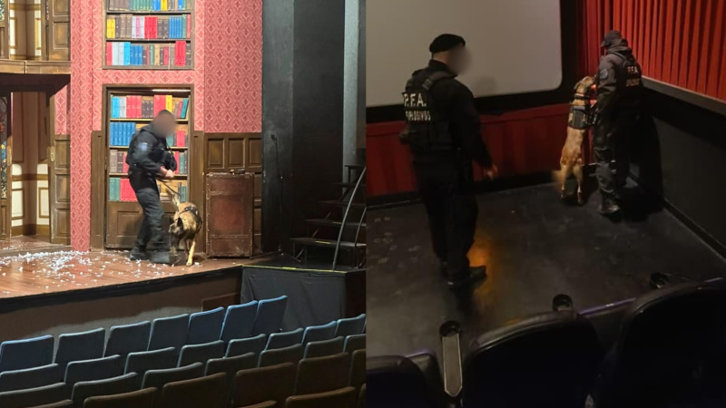 Cayó la presunta autora de las amenazas de bomba contra el Garrahan, cines y la Sociedad Argentina de Actores