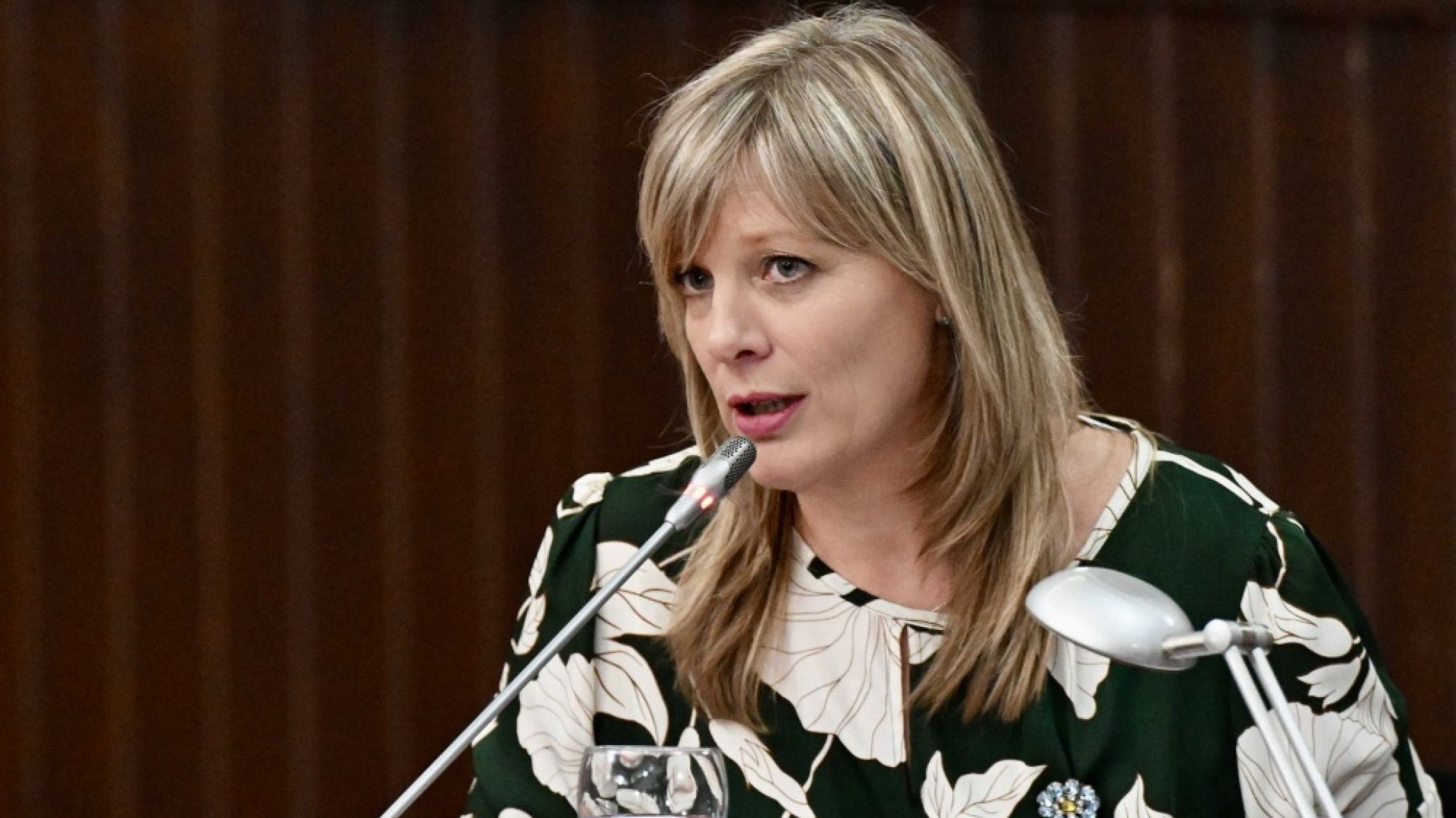 Abril cuestionó que la Legislatura actúe como "escribanía" mientras crecen el endeudamiento y los consumos problemáticos