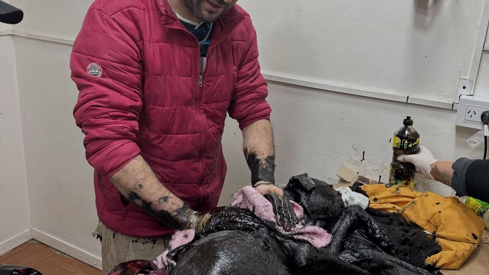 Las consecuencias del abandono de YPF las sufrimos todos: esta vez le tocó a un perro que cayó en un piletón con residuos petroleros