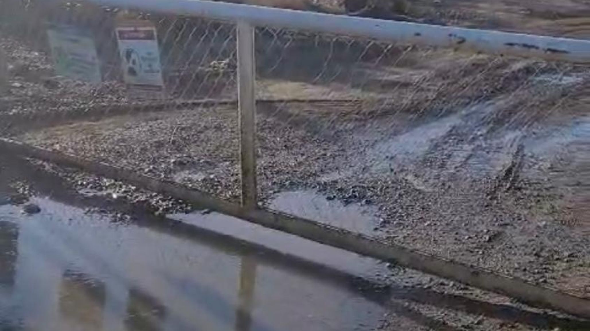 "Por donde entró Nico también puede entrar una criatura": advierten por el peligro de los piletones tras el rescate del perro empetrolado