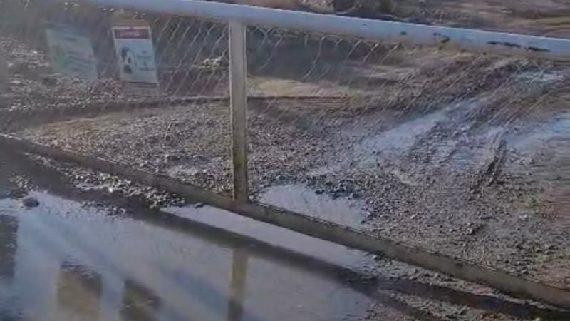 "Por donde entró Nico también puede entrar una criatura": advierten por el peligro de los piletones tras el rescate del perro empetrolado