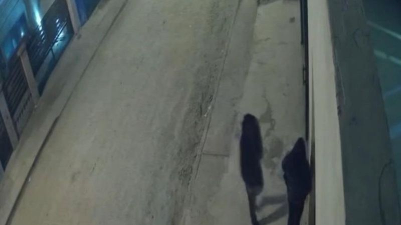 "Pensó que le iban a robar, pero la manoseó": el duro relato de la mamá de la joven acosada en la vía pública