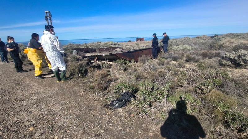 Comodoro: Mientras "Nico" se recupera, pudieron retirar el cuerpo del otro perro empetrolado
