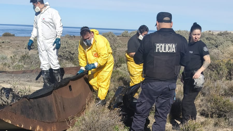 Rescatistas piden saber qué pasará con el cuerpo del perro que murió empetrolado