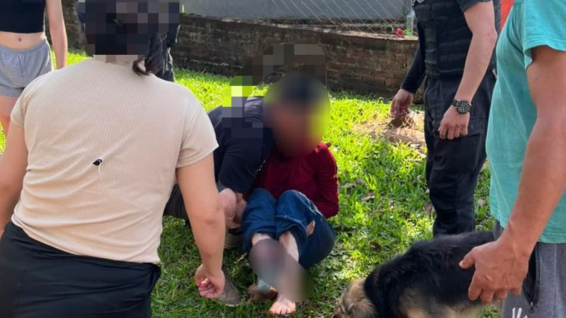 Un perro atacó a una mujer de 93 años que terminó muriendo en Posadas