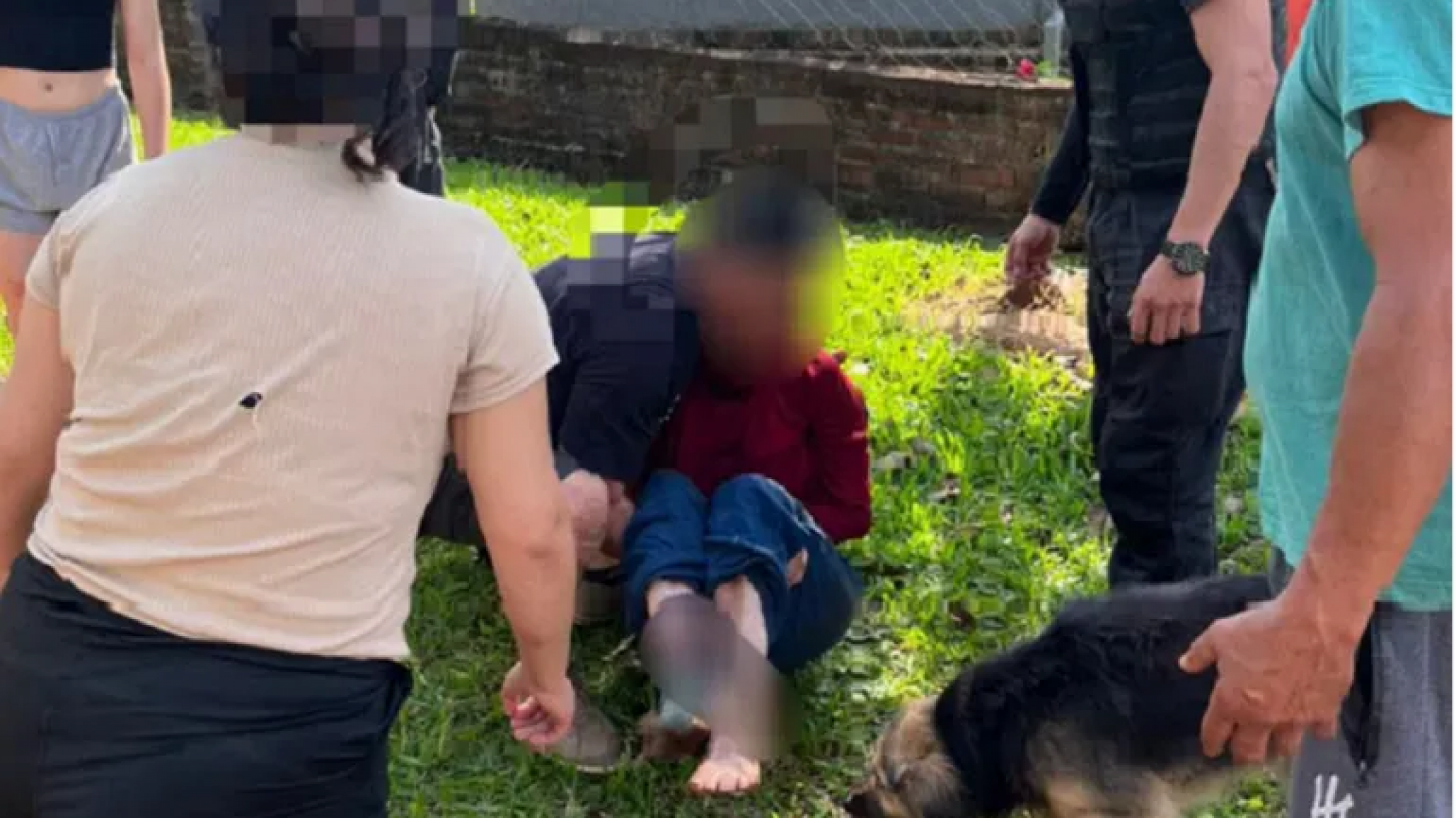 Misiones: una jubilada de 93 años entró al patio de una casa y murió atacada por un dogo