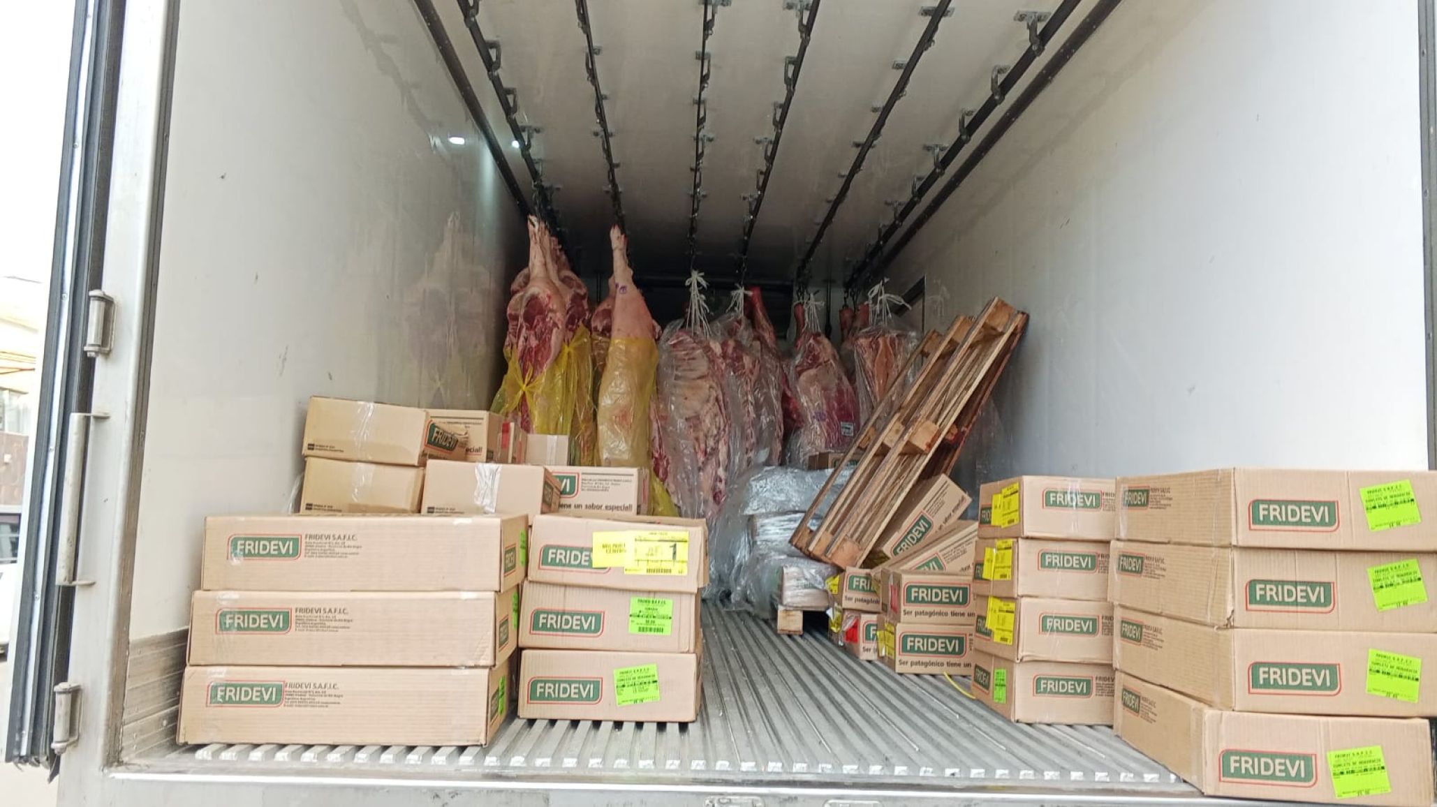 Caballos abandonados y carne decomisada: el Municipio avanza con controles y posibles sanciones