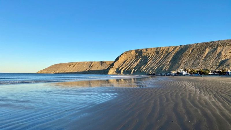 "Un susto horrible": alertan por dueños que sueltan perros de gran porte sin bozal en la playa