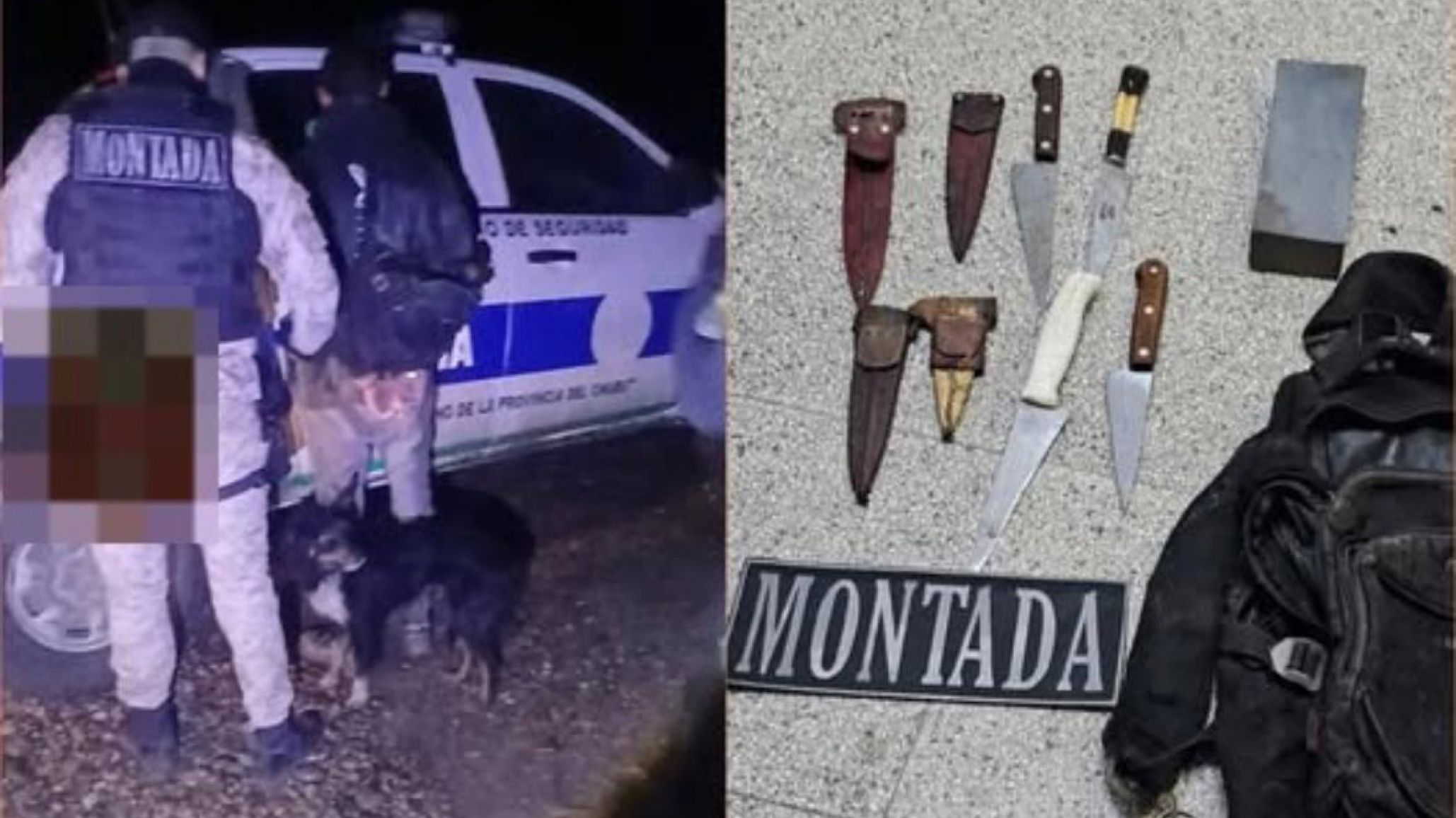Sorprendieron a dos hombres dentro de un campo de Sarmiento y uno fue detenido tras resistirse con cuchillos