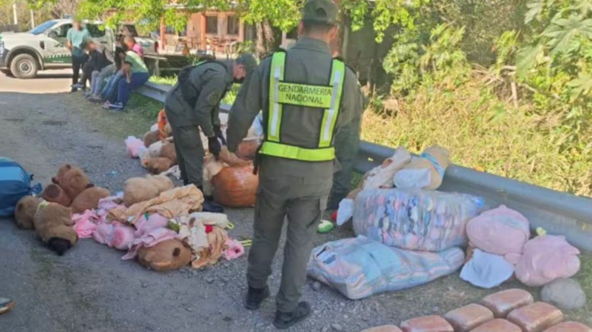 Llevaba casi 55 kilos de droga ocultos en peluches de carpincho y fue detenida en un control de Gendarmería