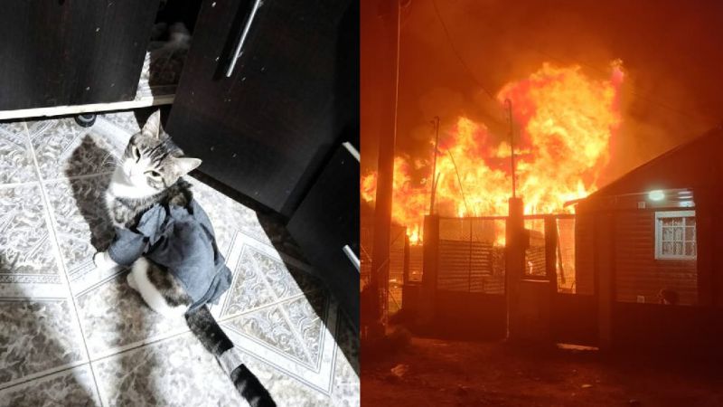 Solidaridad en Km 8: la familia que lo perdió todo en un incendio ahora busca a su mascota