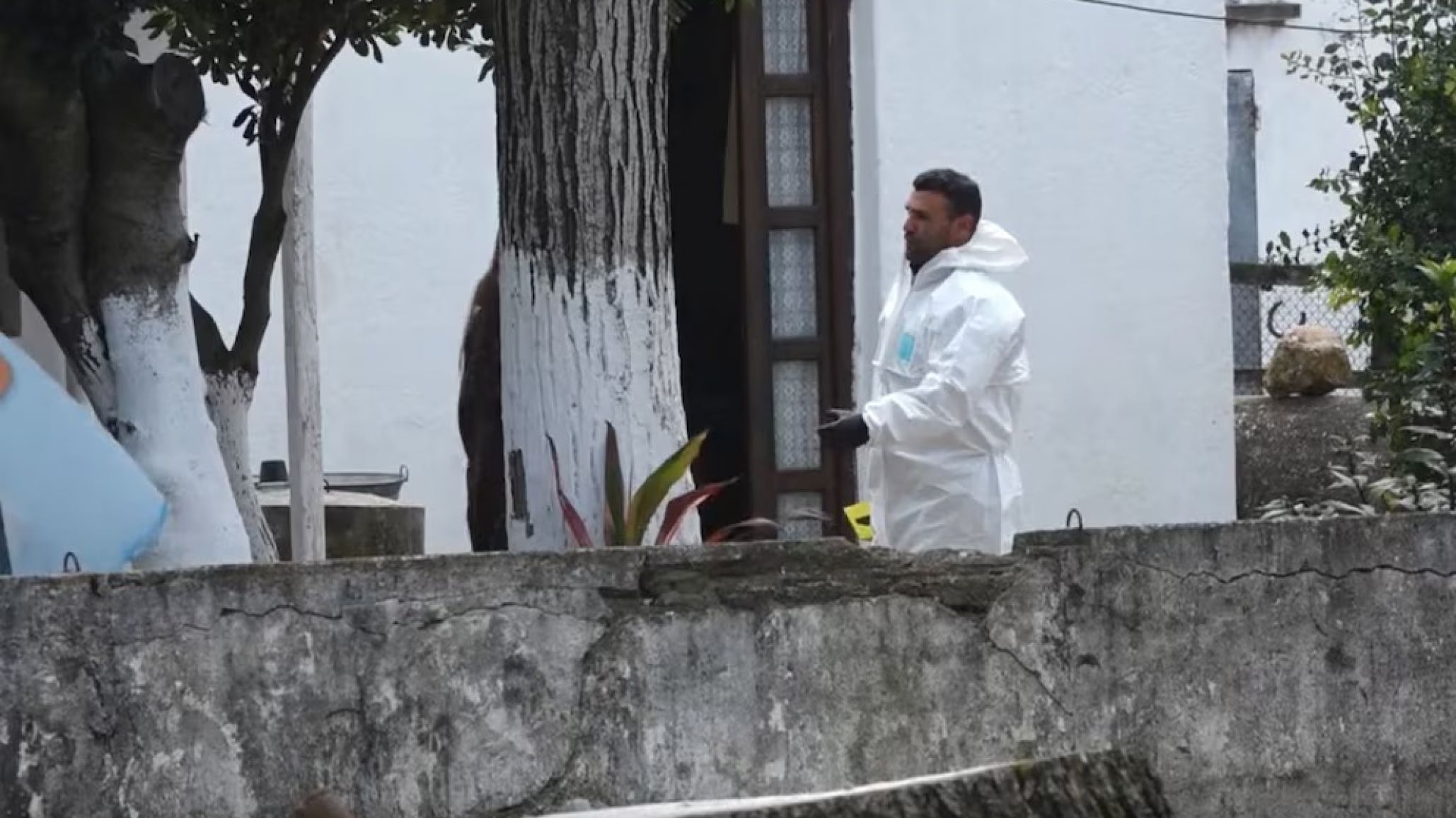 Cardal: asesinó brutalmente a la mujer de 69 años que había intentado criarlo