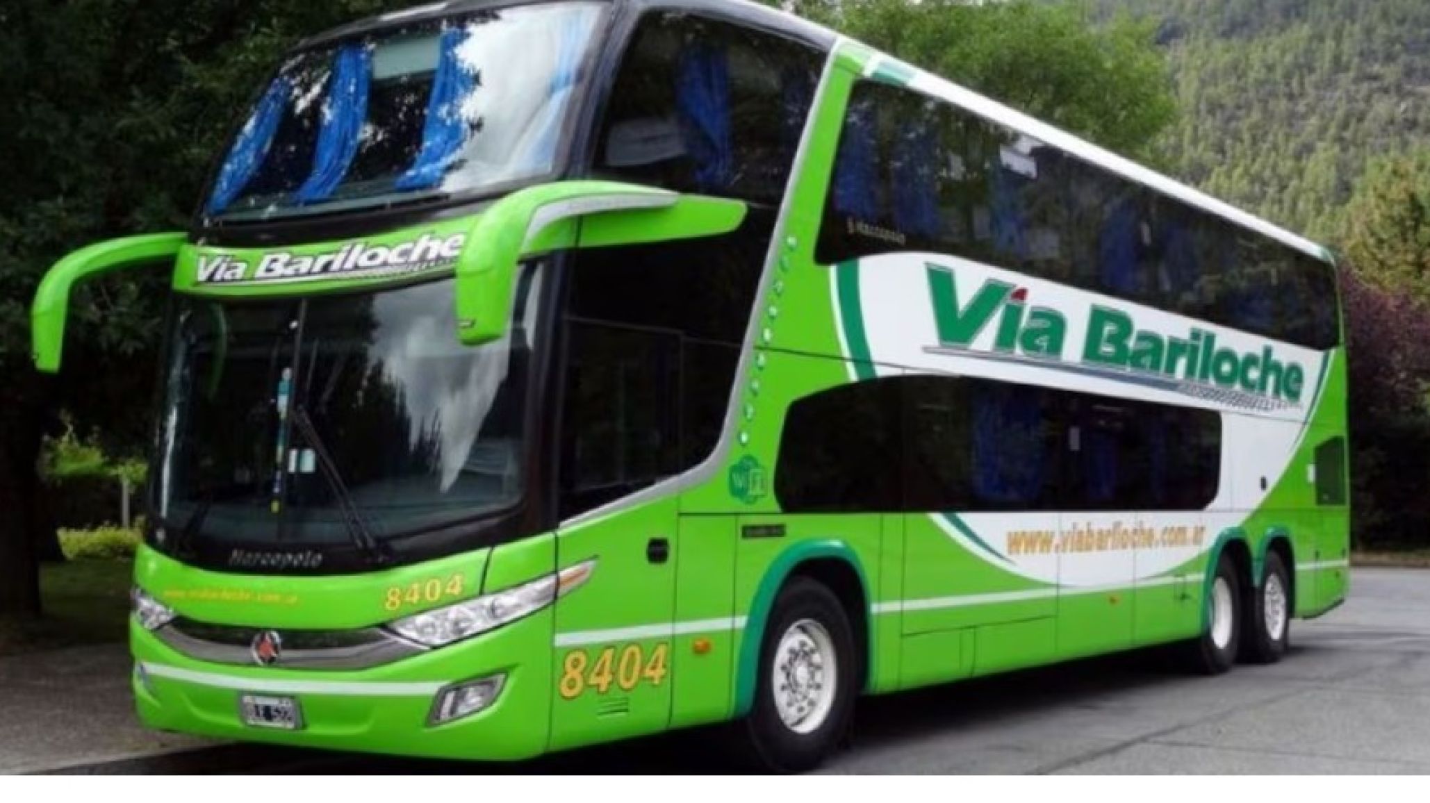 Tragedia en un micro: un nene de 12 años murió mientras viajaba con su mamá