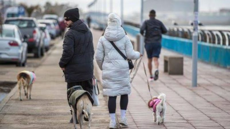 Ola polar en Chubut: heladas, frío y fuertes ráfagas, pero el tiempo mejora este domingo en Comodoro