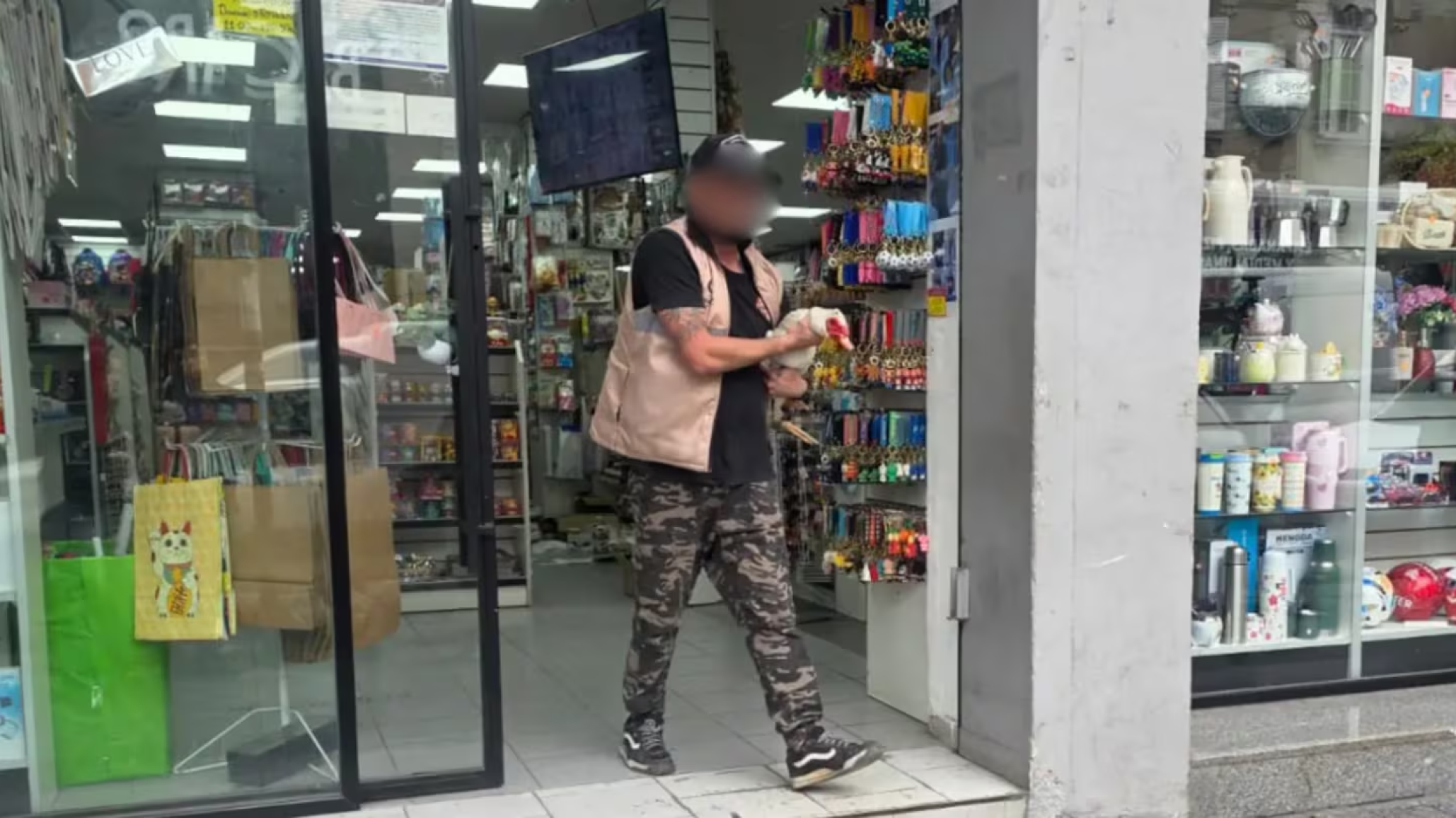 Quilmes: un allanamiento por ruidos terminó con el hallazgo de varios animales