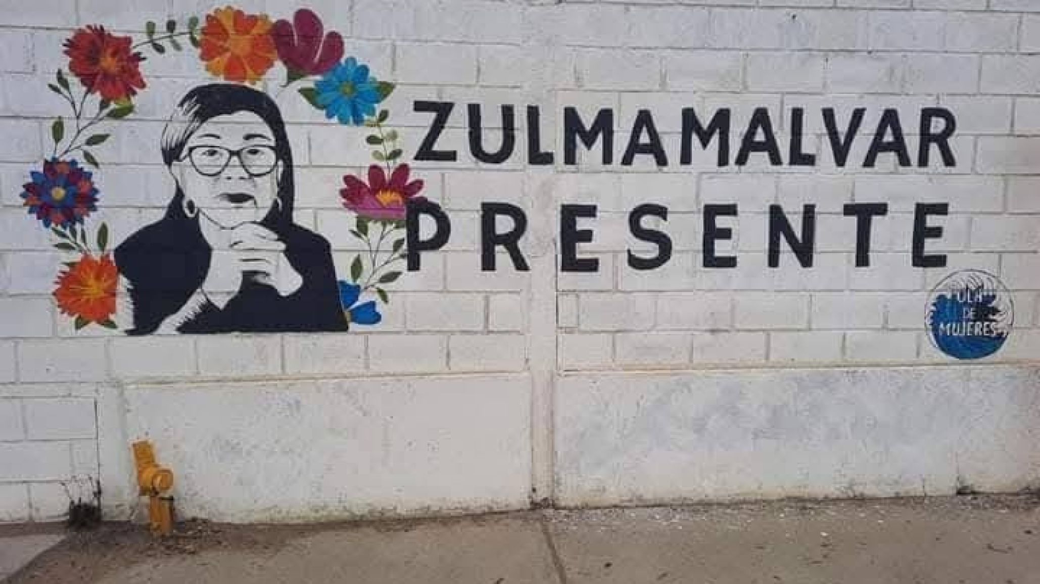 A siete años del femicidio de Zulma Malvar, la obstetra que ayudó a nacer a cientos de chicos, el crimen sigue impune