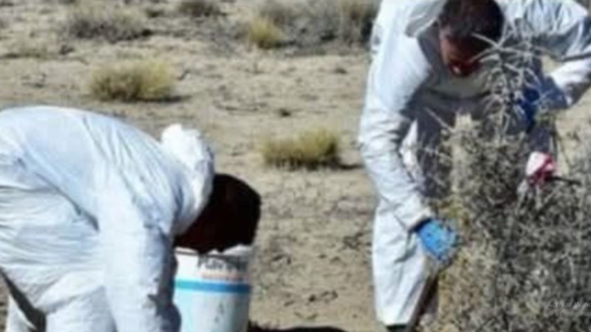 Misterioso hallazgo en Puerto Madryn: encontraron un cráneo y alrededor de 120 restos óseos