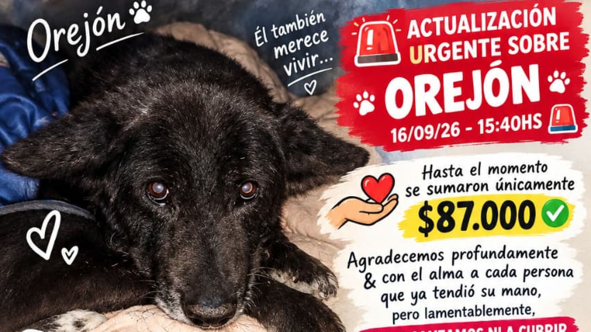 Orejón necesita una cirugía urgente y todavía no logran reunir ni la mitad del dinero necesario