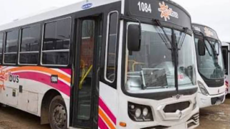 Las líneas 4 y 14 retomaron sus recorridos habituales en Comodoro