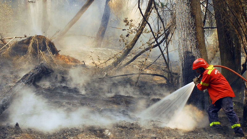 Legisladores de Chubut y Río Negro ponen en agenda el debate por la prevención de incendios este viernes en El Bolsón