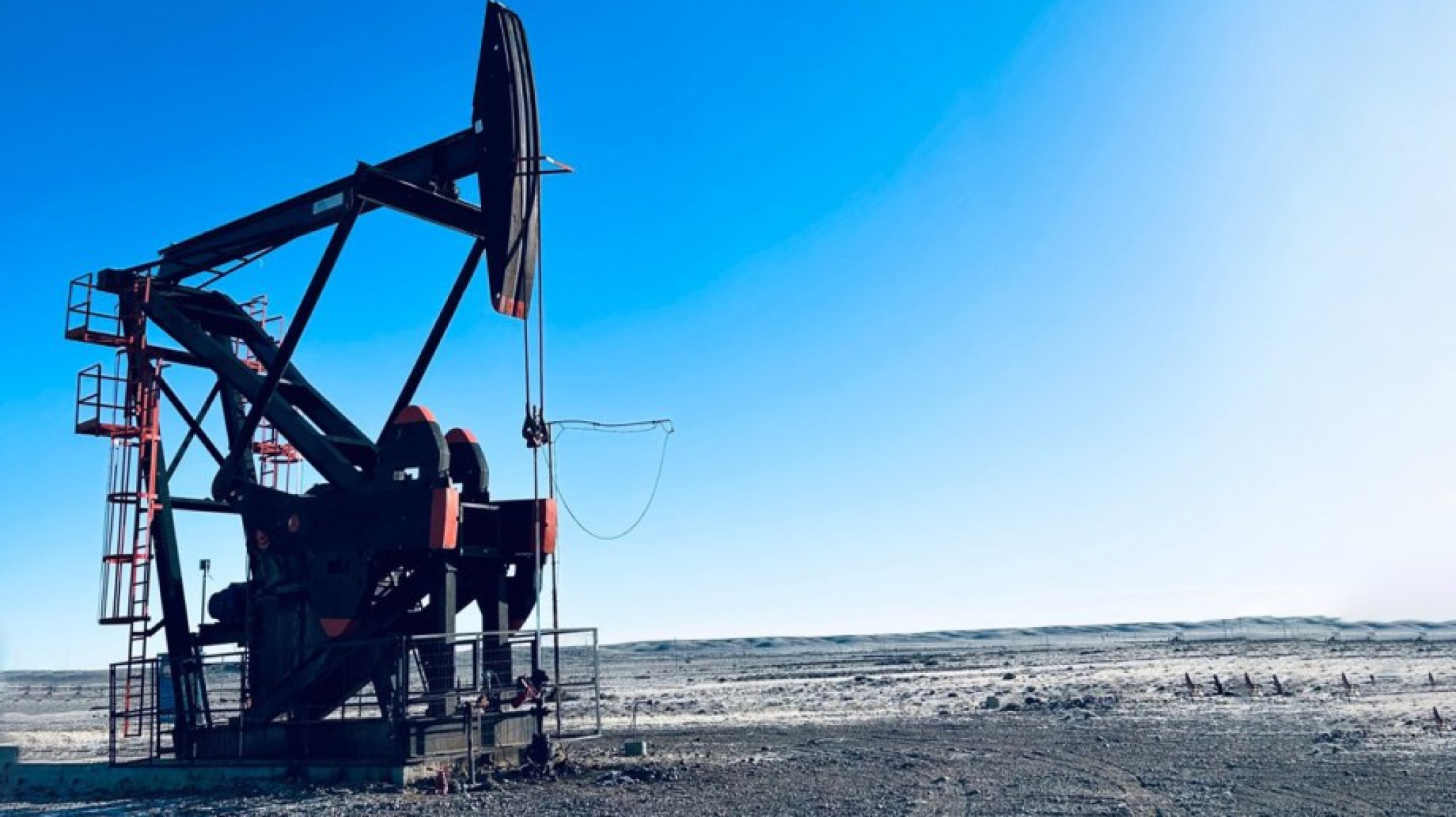 Se acordó extender equipos de pulling y reducir tiempos no productivos en Cerro Dragón