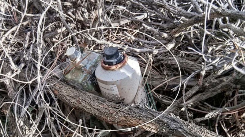 Qué se sabe del presunto dispositivo incendiario oculto en un bosque