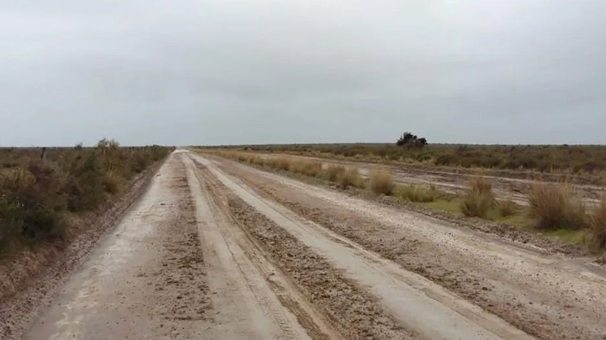 Cierran de forma temporal el Área Natural Protegida Punta Tombo por caminos intransitables