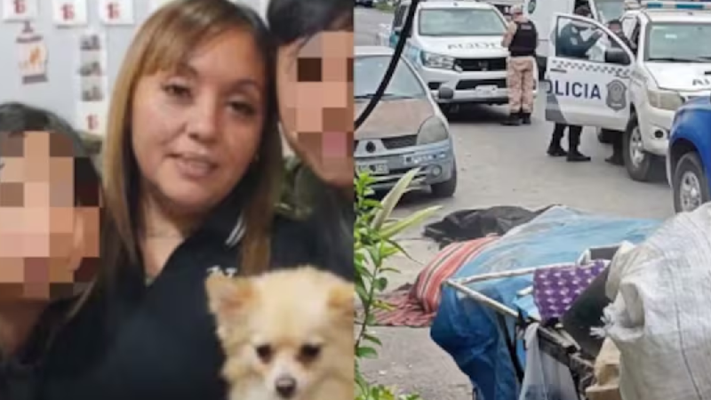Discutieron por unos mensajes en el celular le reclamó y la mató de 19 puñaladas: ella tenía 38 años y era mamá