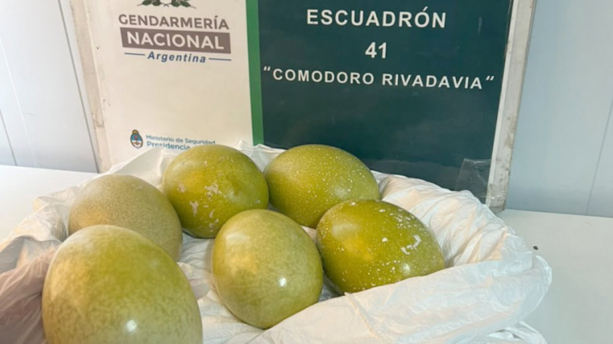 Hallazgo insólito en la Ruta 3: Gendarmería secuestró seis huevos de choique ocultos bajo el asiento de un auto