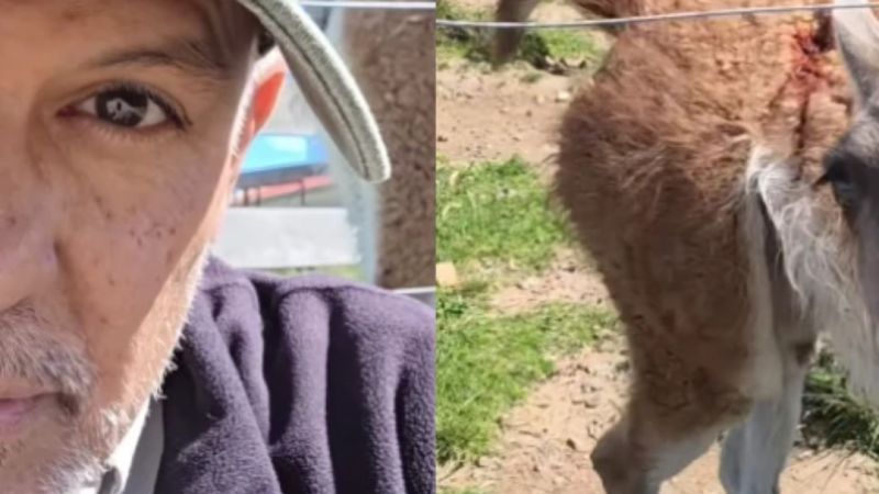 Entraron armados a una estancia y dispararon: "Hay gente que vive y trabaja ahí"