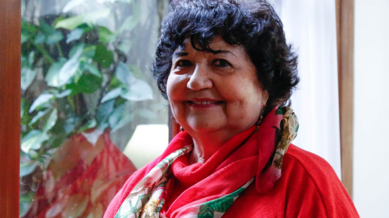 Dora Barrancos llegó a Comodoro para presentar una capacitación sobre Ley Micaela: "Hay un retroceso atroz"