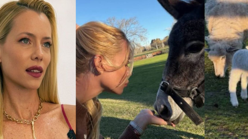 Nicole Neumann denunció que un vecino la amenazó con hacer a sus corderos "al estofado"
