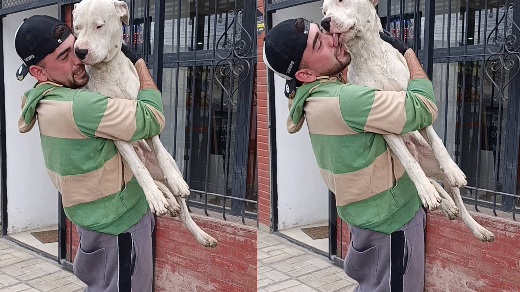 El final más esperado: apareció Erkan, el dogo por el que su dueño había puesto en juego su propia moto