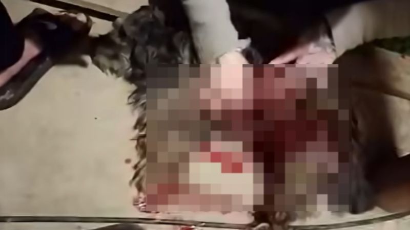 Horror: mataron a un perro de un disparo dentro de un patio en Km 17