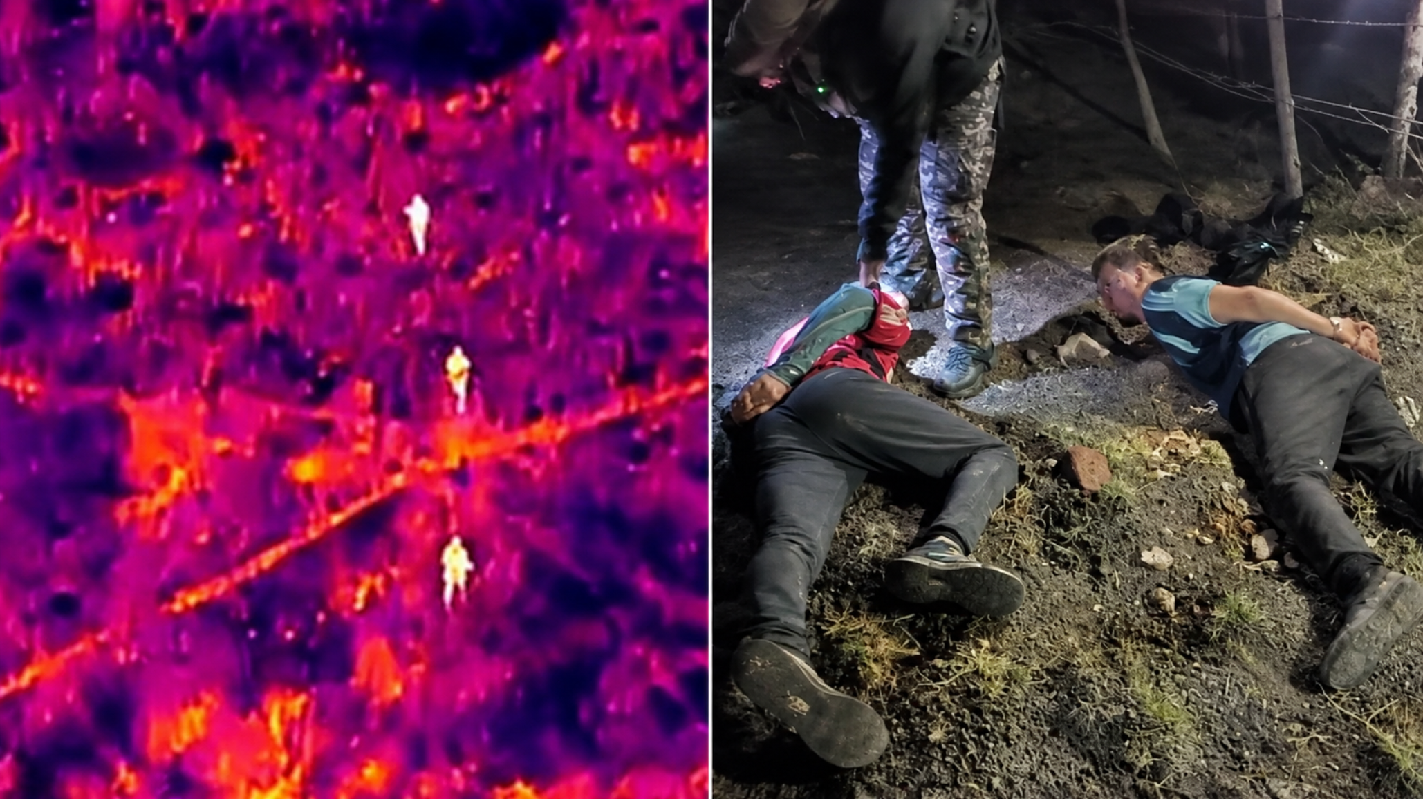 Los cazaron con un dron térmico cuando intentaban robar nueve ovejas: qué resolvió la Justicia