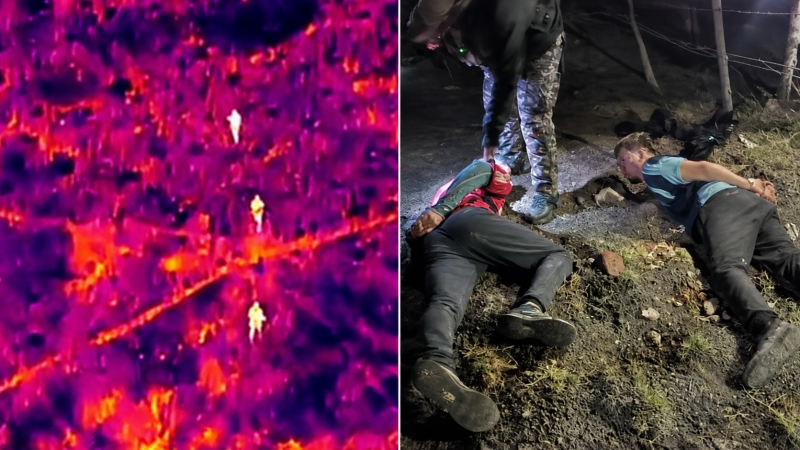 Los cazaron con un dron térmico cuando intentaban robar nueve ovejas: qué resolvió la Justicia