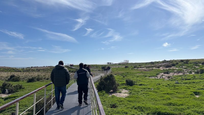 Provincia fortalece la infraestructura turística de Cabo Dos Bahías con un nuevo pórtico de acceso